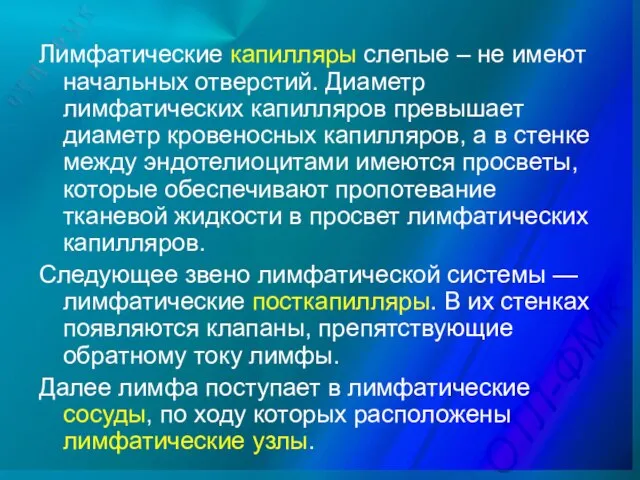 Лимфатические капилляры слепые – не имеют начальных отверстий. Диаметр лимфатических капилляров