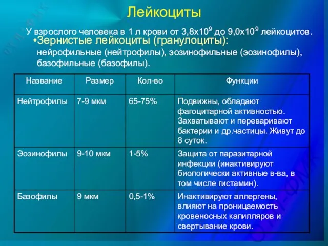 Лейкоциты У взрослого человека в 1 л крови от 3,8х109 до