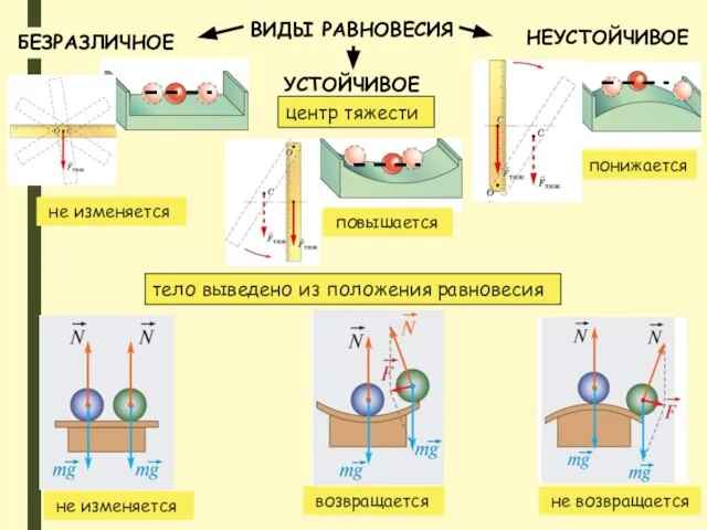 ВИДЫ РАВНОВЕСИЯ БЕЗРАЗЛИЧНОЕ УСТОЙЧИВОЕ НЕУСТОЙЧИВОЕ не изменяется центр тяжести повышается понижается