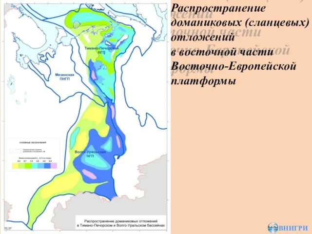 Распространение доманиковых (сланцевых) отложений в восточной части Восточно-Европейской платформы