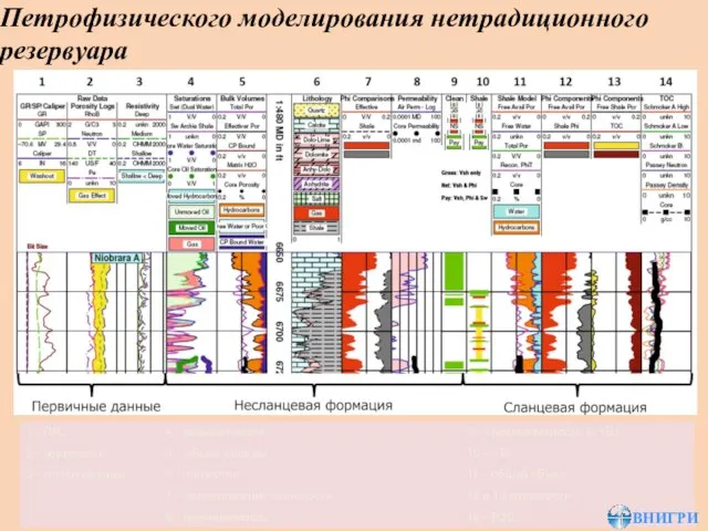 Петрофизического моделирования нетрадиционного резервуара