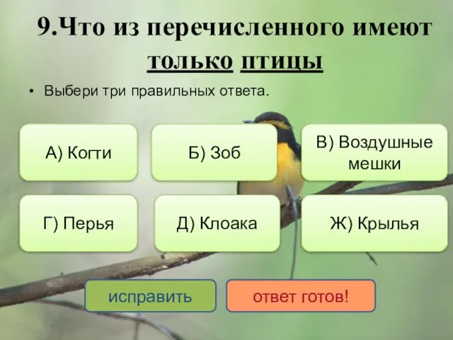 9.Что из перечисленного имеют только птицы Выбери три правильных ответа. В)