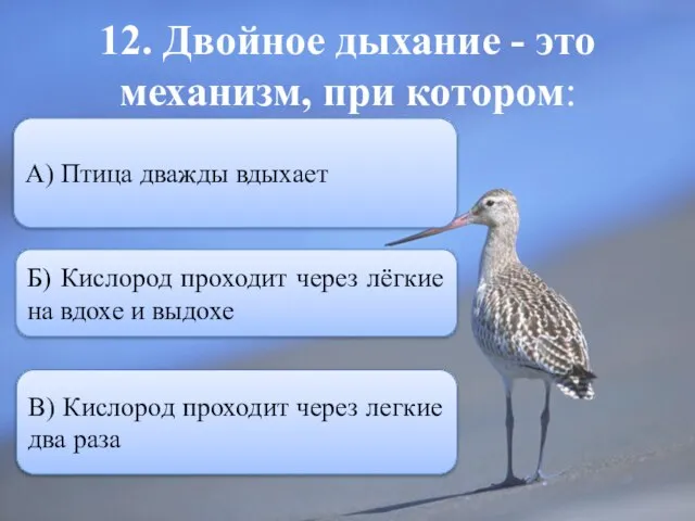 12. Двойное дыхание - это механизм, при котором: Б) Кислород проходит