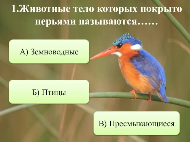 1.Животные тело которых покрыто перьями называются…… Б) Птицы А) Земноводные В) Пресмыкающиеся