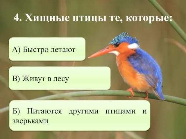 4. Хищные птицы те, которые: Б) Питаются другими птицами и зверьками