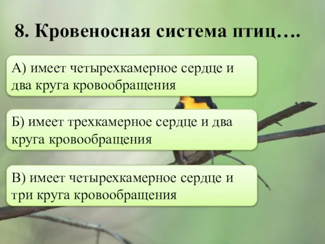 8. Кровеносная система птиц…. А) имеет четырехкамерное сердце и два круга