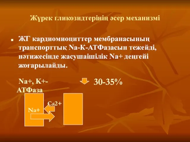 Жүрек гликозидтерінің әсер механизмі ЖГ кардиомиоциттер мембранасының транспорттық Na-К-АТФазасын тежейді, нәтижесінде