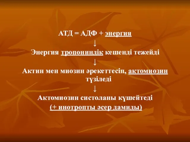 АТД = АДФ + энергия ↓ Энергия тропониндік кешенді тежейді ↓