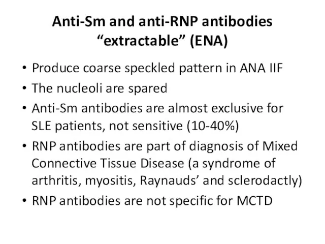 Anti-Sm and anti-RNP antibodies “extractable” (ENA) Produce coarse speckled pattern in