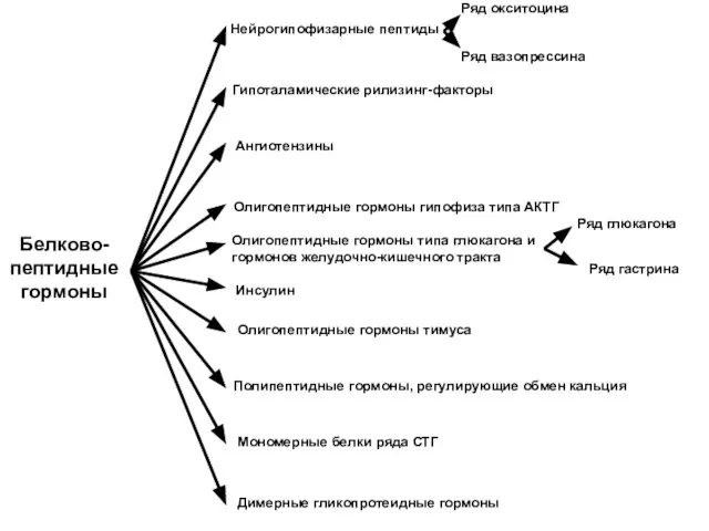 Белково-пептидные гормоны