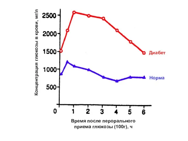 Диабет Норма Время после перорального приема глюкозы (100г), ч Концентрация глюкозы в крови, мг/л
