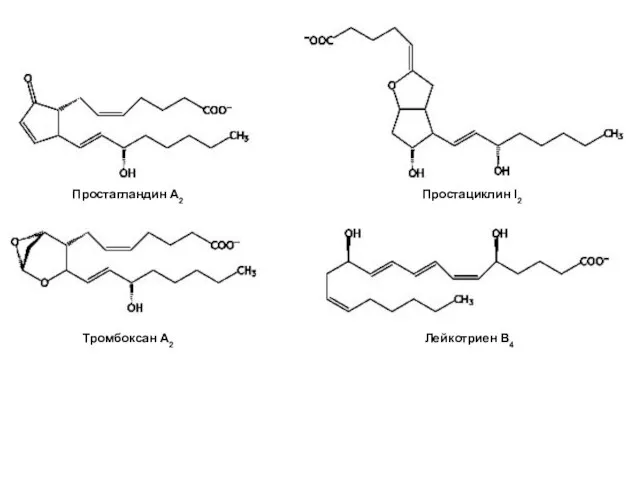 Простагландин А2 Простациклин I2 Тромбоксан А2 Лейкотриен В4