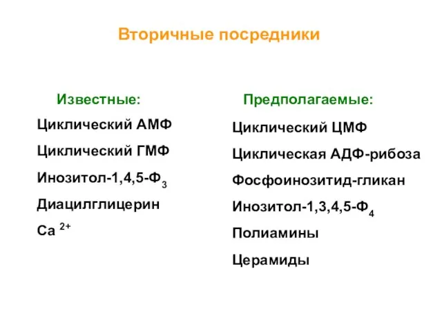 Вторичные посредники Известные: Предполагаемые: Циклический АМФ Циклический ГМФ Инозитол-1,4,5-Ф3 Диацилглицерин Ca