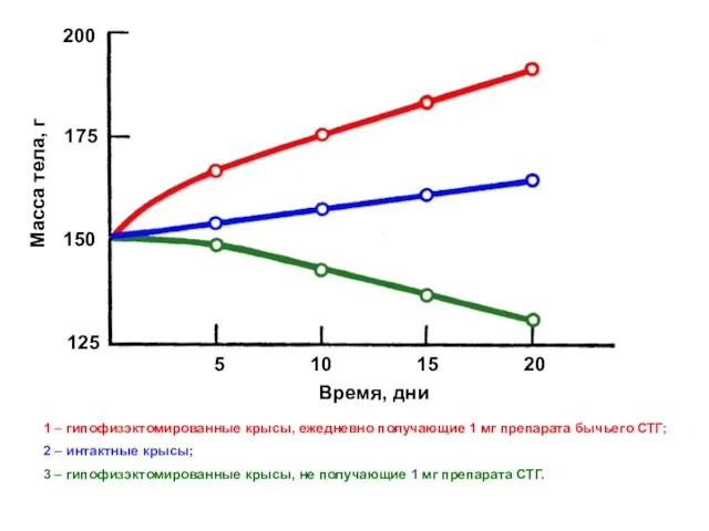 125 150 175 200 5 10 15 20 Время, дни Масса