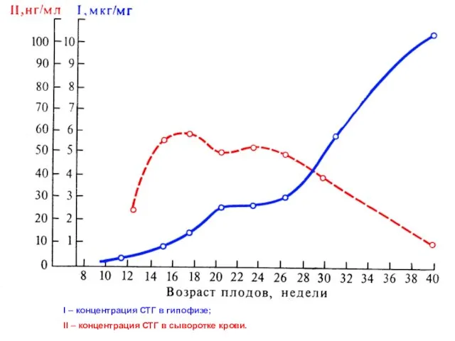 I – концентрация СТГ в гипофизе; II – концентрация СТГ в сыворотке крови.