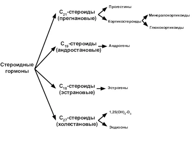 Стероидные гормоны