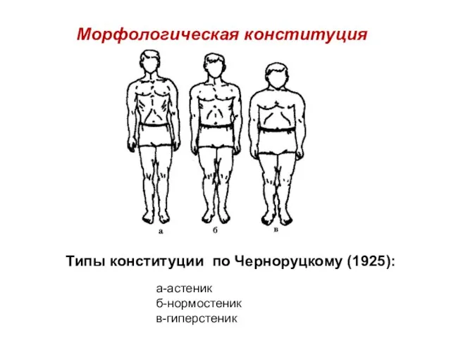а-астеник б-нормостеник в-гиперстеник Морфологическая конституция Типы конституции по Черноруцкому (1925):
