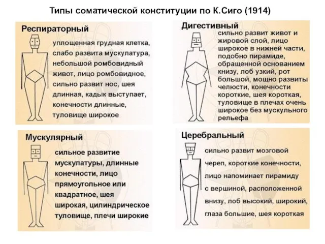 Типы соматической конституции по К.Сиго (1914)