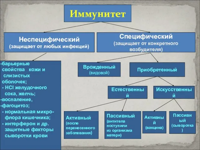 Иммунитет Неспецифический (защищает от любых инфекций) Специфический (защищает от конкретного возбудителя)