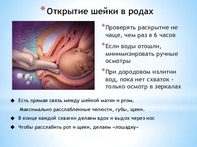 Открытие шейки в родах Проверять раскрытие не чаще, чем раз в