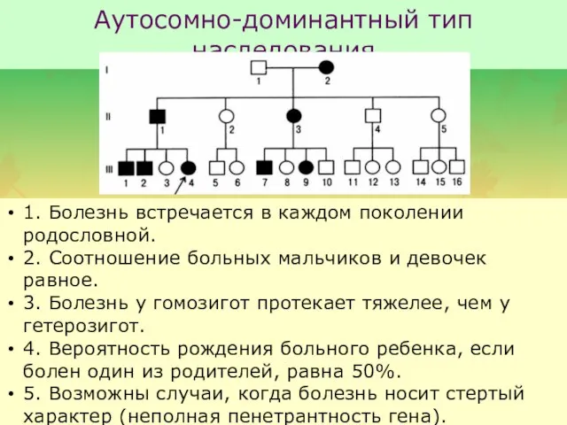 Аутосомно-доминантный тип наследования 1. Болезнь встречается в каждом поколении родословной. 2.