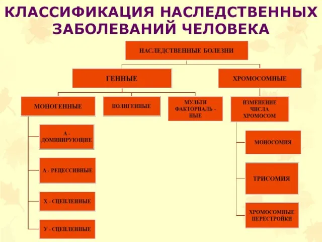 КЛАССИФИКАЦИЯ НАСЛЕДСТВЕННЫХ ЗАБОЛЕВАНИЙ ЧЕЛОВЕКА