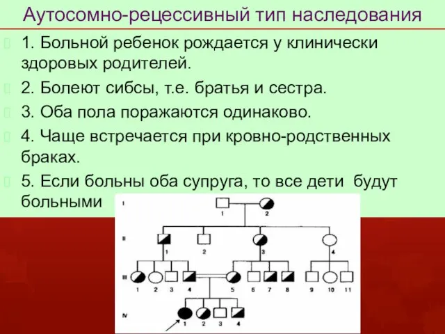 Аутосомно-рецессивный тип наследования 1. Больной ребенок рождается у клинически здоровых родителей.