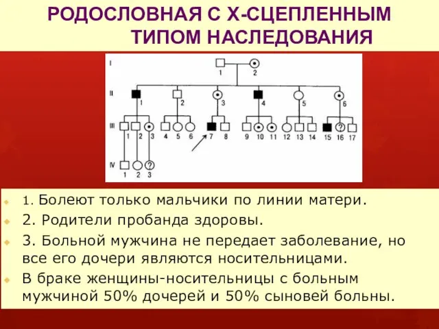 РОДОСЛОВНАЯ С Х-СЦЕПЛЕННЫМ ТИПОМ НАСЛЕДОВАНИЯ 1. Болеют только мальчики по линии