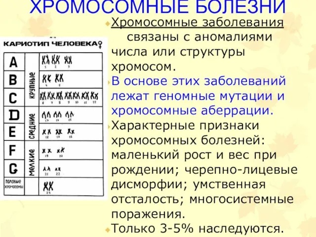 ХРОМОСОМНЫЕ БОЛЕЗНИ Хромосомные заболевания связаны с аномалиями числа или структуры хромосом.