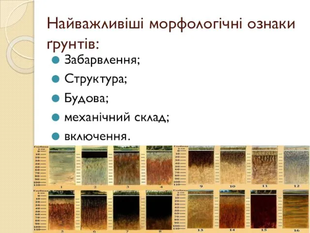 Найважливіші морфологічні ознаки ґрунтів: Забарвлення; Структура; Будова; механічний склад; включення.