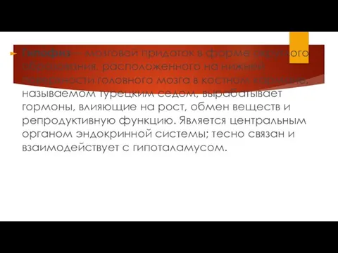 Гипо́физ— мозговой придаток в форме округлого образования, расположенного на нижней поверхности