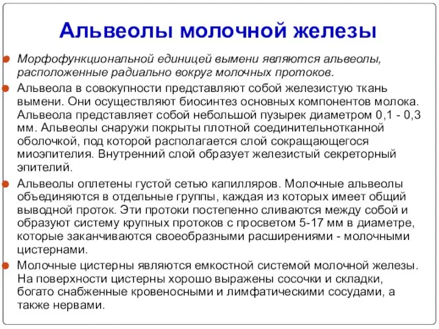 Альвеолы молочной железы Морфофункциональной единицей вымени являются альвеолы, расположенные радиально вокруг