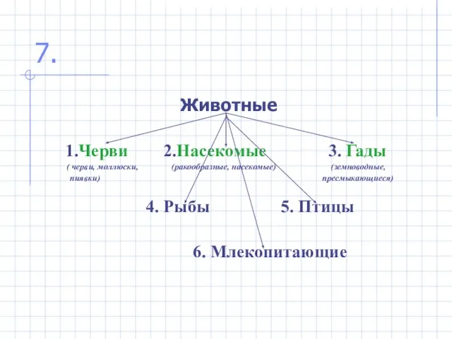 7. Животные 1.Черви 2.Насекомые 3. Гады ( черви, моллюски, (ракообразные, насекомые)