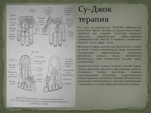 Это одно из направлений ОННУРИ (аббревиатура английской фразы, которую на русский