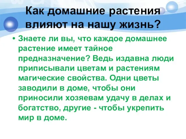 Как домашние растения влияют на нашу жизнь? Знаете ли вы, что