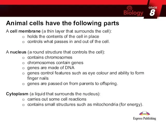 Animal cells have the following parts A cell membrane (a thin