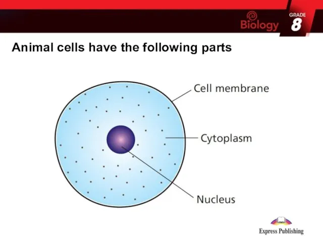 Animal cells have the following parts