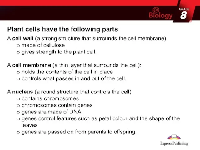 Plant cells have the following parts A cell wall (a strong