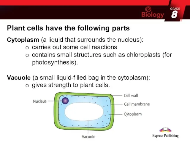 Plant cells have the following parts Cytoplasm (a liquid that surrounds