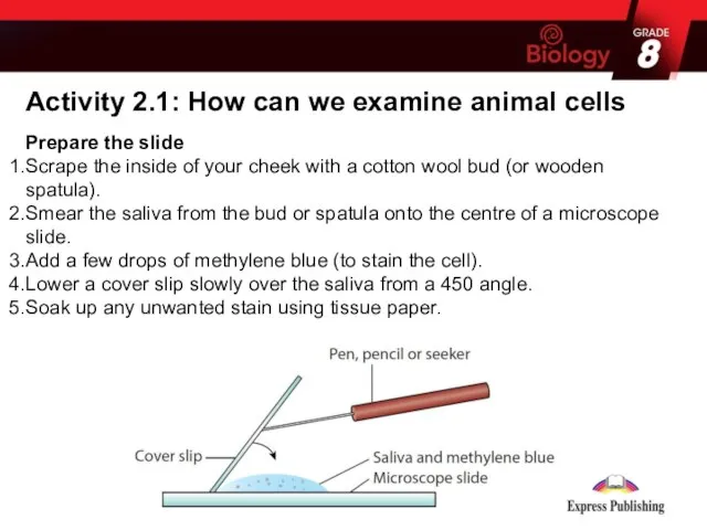 Activity 2.1: How can we examine animal cells Prepare the slide