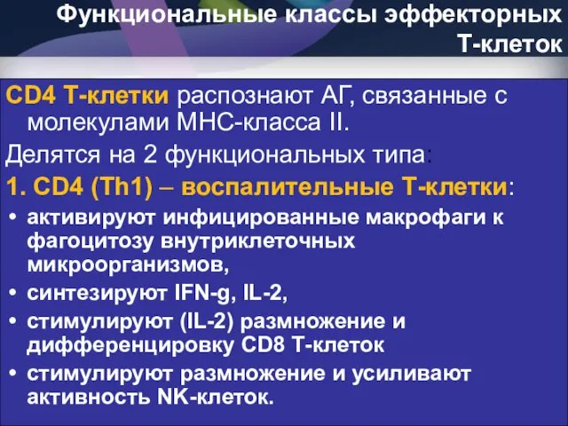 CD4 Т-клетки распознают АГ, связанные с молекулами МНС-класса II. Делятся на