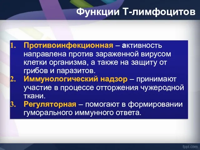 Функции Т-лимфоцитов Противоинфекционная – активность направлена против зараженной вирусом клетки организма,