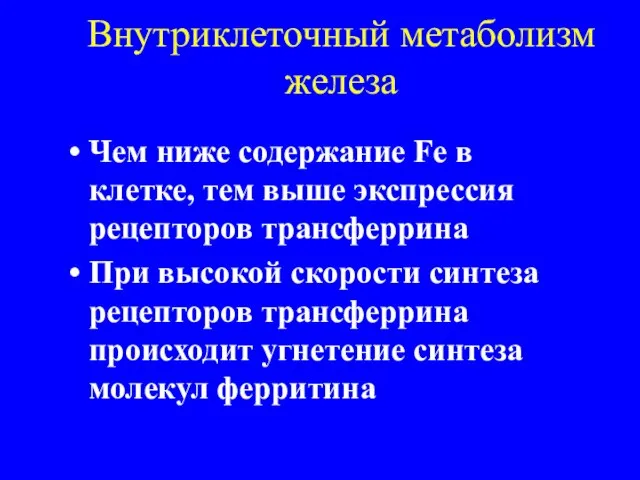 Внутриклеточный метаболизм железа Чем ниже содержание Fe в клетке, тем выше