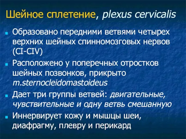 Шейное сплетение, plexus cervicalis Образовано передними ветвями четырех верхних шейных спинномозговых