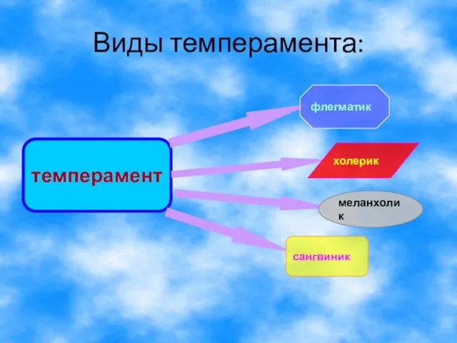 Виды темперамента: темперамент флегматик холерик меланхолик сангвиник