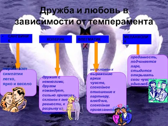 Дружба и любовь в зависимости от темперамента САНГВИНИК ХОЛЕРИК ФЛЕГМАТИК МЕЛАНХОЛИК