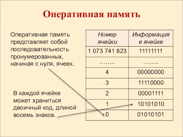 Оперативная память Оперативная память представляет собой последовательность пронумерованных, начиная с нуля,