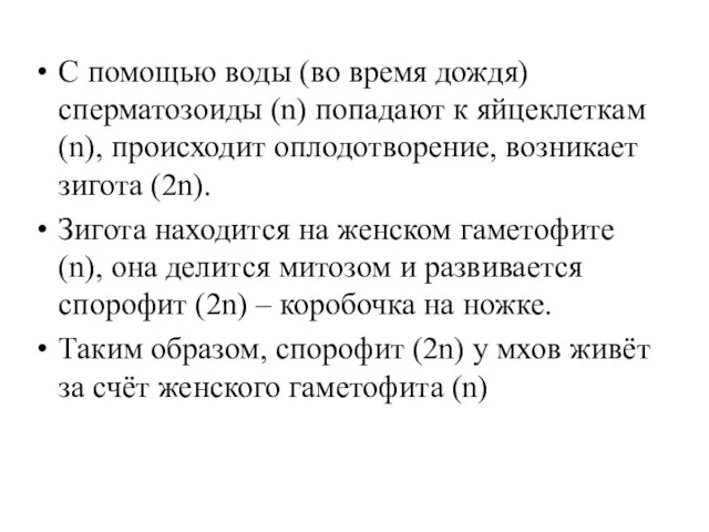 С помощью воды (во время дождя) сперматозоиды (n) попадают к яйцеклеткам