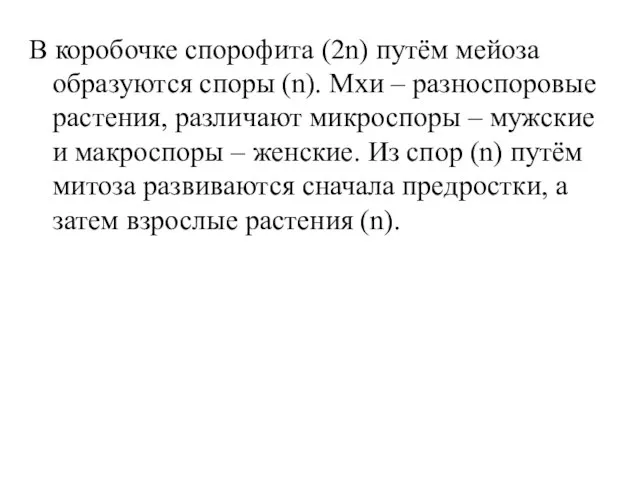 В коробочке спорофита (2n) путём мейоза образуются споры (n). Мхи –