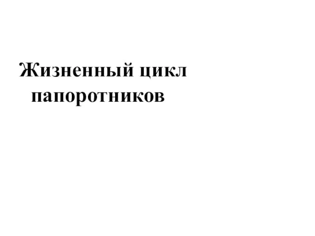 Жизненный цикл папоротников